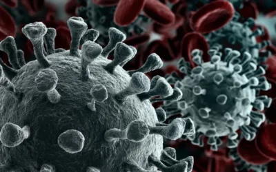 Coronavirus and Piano Lessons