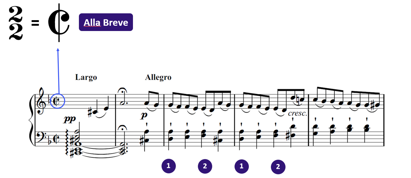 example in 2/2 time signature with two minim beats